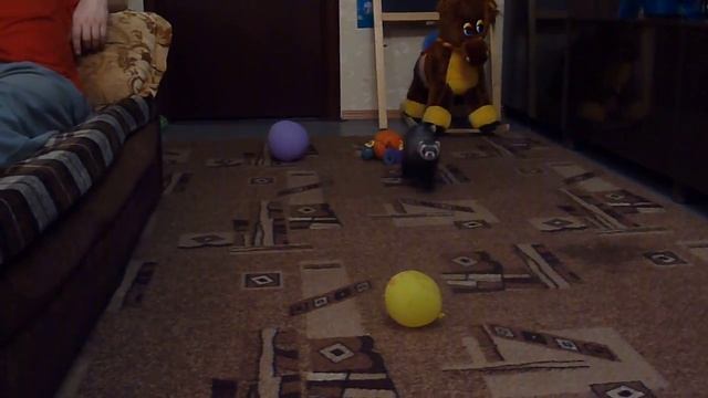 P1040286.MOV смотреть онлайн