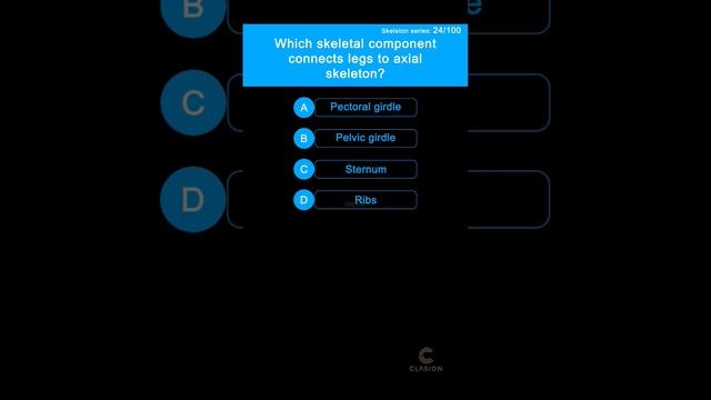 Which skeletal component connects legs to axial skeleton?