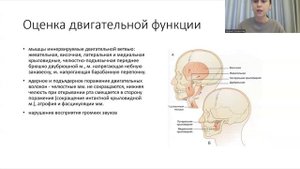 Черепные нервы. Тройничный и лицевой нервы. Часть 1.
