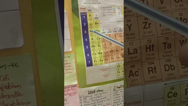 Arrange Nitrogen Oxygen and sulphur in order of decreasing electron affinity