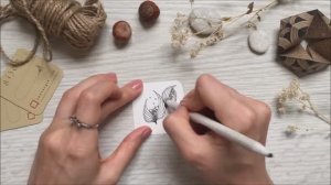 MERINGUE by Kelley Kelly