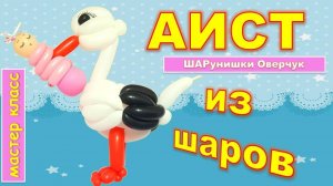 Аист из шаров своими руками. Мастер-класс. DIY balloon stork. Master class