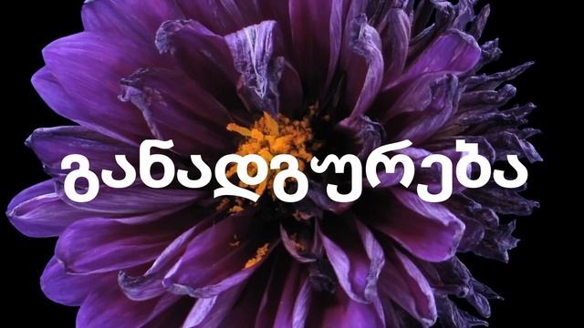 PH Balance Stones (GE) NL International смотреть онлайн