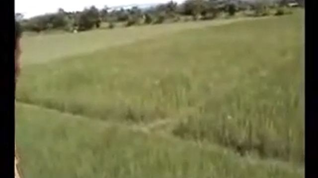 Тигр атакует. Макс +100500. Tiger attack смотреть онлайн