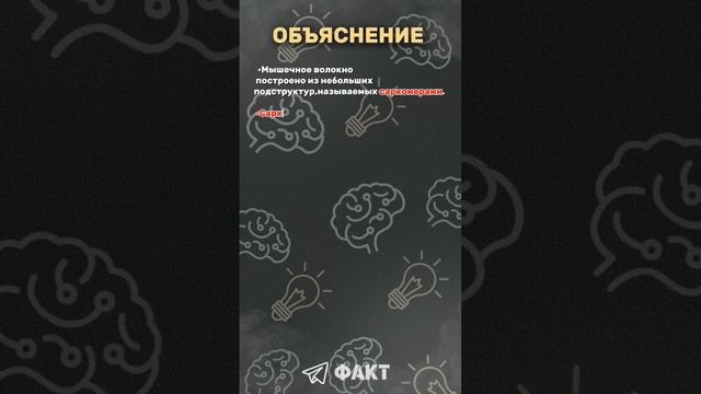 🧠БОЛЬШЕ ИНТЕРЕСНЫХ ФАКТОВ ПО ССЫЛКЕ В ШАПКЕ ПРОФИЛЯ 🔗