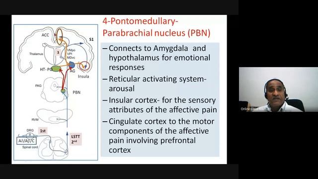 Pain Processing at Various Levels of Neuraxis by SB Deshpande смотреть онлайн