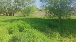 #ГАТНОЕ - 🏘️ #село в Киевской области, пригород Киева. 🏞️ Природа, ручей, дома и улицы - #прогулка