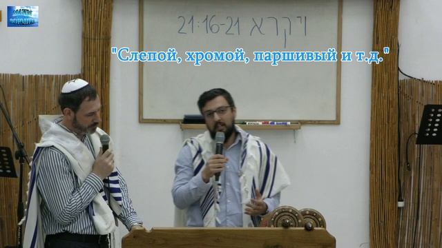 2023.05.06_Слепой, хромой, паршивый и т.д. смотреть онлайн