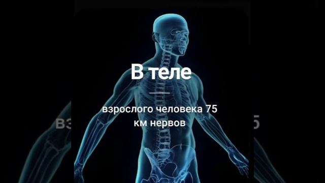 Это интересно: В теле взрослого человека…/22.11.22 00:33 смотреть онлайн