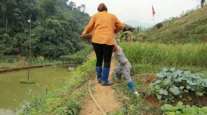 video full life in nature | harvest with family and build a new garden