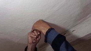 169. Хроника жизни пенсионеров на Кубани....Дела домашние...и не только!