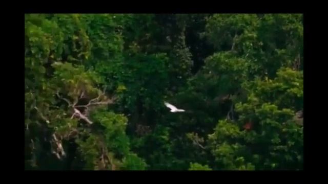 17 часть. Живое окормление от Державного Патриарха Зосимы смотреть онлайн