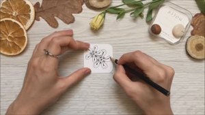 VIOLETKA by Lila Holter