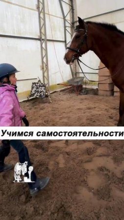 Важно все уметь! ☝