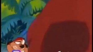 Тимон и пумба