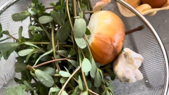 ОЧЕНЬ ПОЛЕЗНЫЙ И СЪЕДОБНЫЙ СОРНЯК - ПОРТУЛАК ОГОРОДНЫЙ
