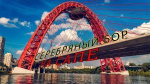 Серебряный Бор на сапе