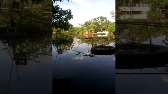 Щучинск боровое кокшетау(11) смотреть онлайн