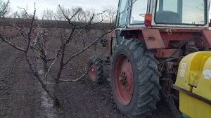 Оприскивание персика по технологической     карте Syngenta. (Хорус+Актара)
