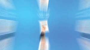 Common Law vs Civil Law, Legal Systems explained