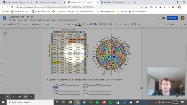 Biology- Codon Wheels & Charts- 4/28/20 смотреть онлайн