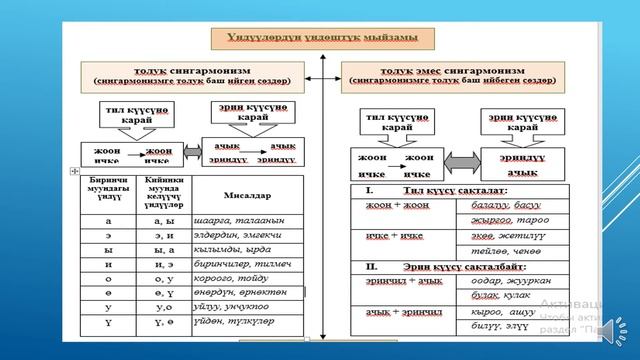 ҮНДӨШТҮК ЗАКОНУ / КАМАЛИДИН КЫЗЫ ДУРИЯ смотреть онлайн