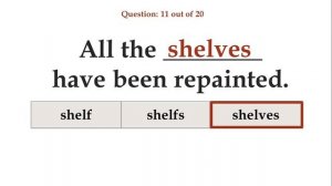Grammar Practice - Singular & Plural