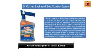 ?Ant Killer: Top 10 Best Outdoor Ant Killers in Amazon Reviews | Available at Amazon