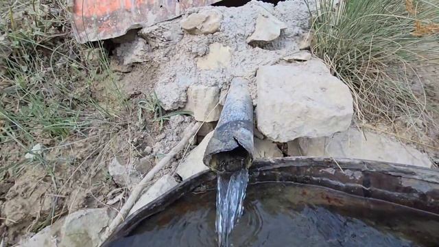 "Disputed sale of sheep" смотреть онлайн