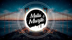 Stereo Hearts x Zaalima (Hindi x English Mashup) | DJ Sid | Mallu Muzik Official