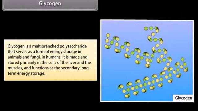 Biomolecules | Chemistry | 12th Class | English Medium |