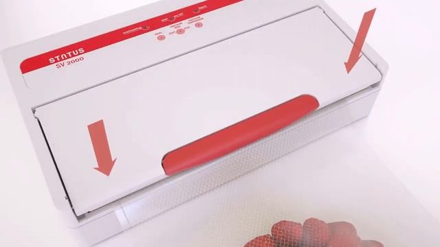 Вакуумный упаковщик STATUS SV 2000 GREY смотреть онлайн