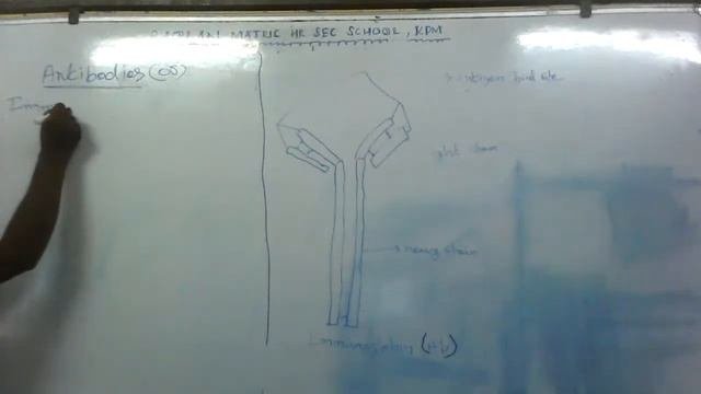 XII - BIO- ZOOLOGY ANTIGEN, ANTIBODY STRUCTURE