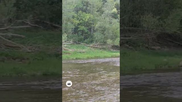 sup сплав по Лучесе в Витебске 14.05.23 смотреть онлайн