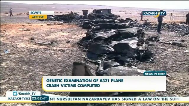 Завершена генетическая экспертиза погибших в крушении А321 - Kazakh TV смотреть онлайн