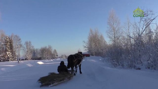 ЧЕТВЕРТЬ ЧАСА: ХРАМ В СЕЛЕ РУЧ и "ПОЮЩАЯ РОССИЯ"