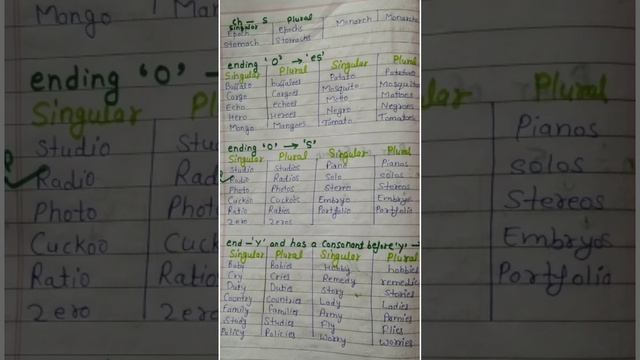 singular & plural number HP arts Commission jbt tet all axam смотреть онлайн