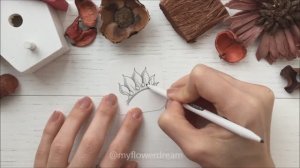 Lada by Irina Sedova