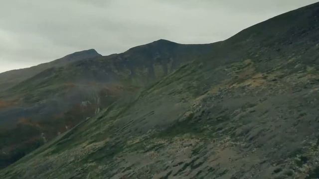 Primos Trigger Sticks Promo