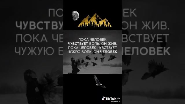 Мудрые фразы. смотреть онлайн