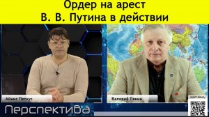 ✅ ПЕРСПЕКТИВА | В. В. ПЯКИН: ВЫДОРЫ в/на украине - процеДУРЫ! | 14-11-24