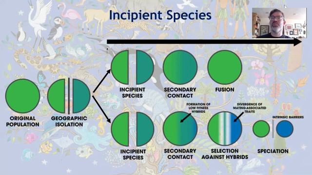 AP Biology 6.5 The Origin of Species