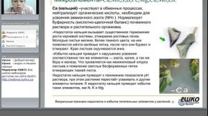 Визуальные признаки недостатка и избытка питательных элементов у растений...