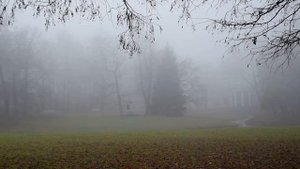 КРАСИВЫЙ ТУМАН  Футаж