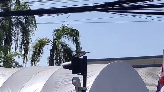 Plane spotting Phitsanulok (PHS) B738 A320 and more. смотреть онлайн