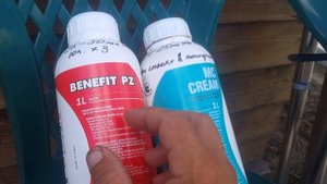 Как раздуть, увеличить ягоду винограда, подробная инструкция.