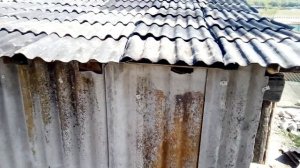 Сарай из Отходов в одного