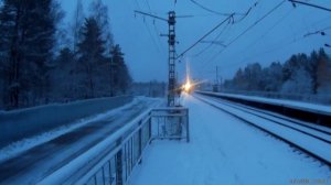 Экспресс тест экшн-камеры GitUp Git2 на о.п Белопесоцкий. 4 ноября 2024 года