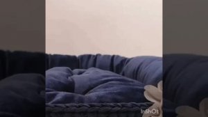 InShot_20241114_154119088.mp4