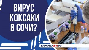 ВИРУС КОКСАКИ В СОЧИ: ЧТО НУЖНО ЗНАТЬ РОДИТЕЛЯМ